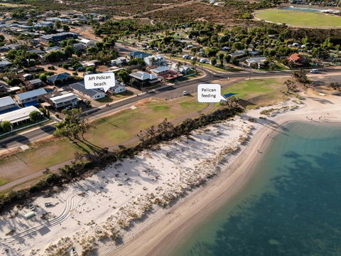 API Pelican Beach Front Apartments Kalbarri - Accommodation Brisbane 1