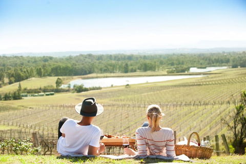 Audrey Wilkinson Vineyard - Accommodation Brisbane 0