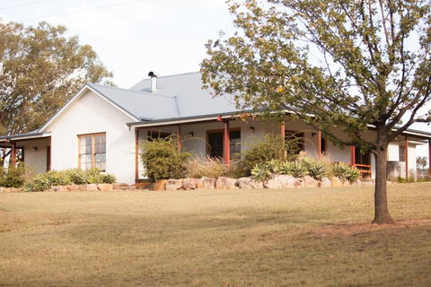 Audrey Wilkinson Vineyard - Accommodation Brisbane 4