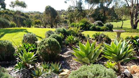 Austiny Bed And Breakfast Victor Harbor - Accommodation Brisbane 2
