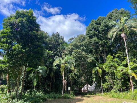 Avana Byron Glamping - Accommodation Brisbane 2
