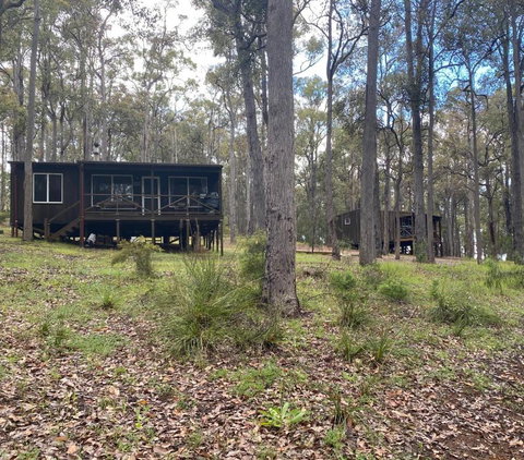 Balingup TimberTop Cottages - Accommodation Brisbane 1