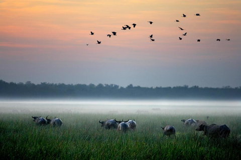 Bamurru Plains - Accommodation Brisbane 0
