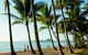 The Reef Retreat Palm Cove - thumb 12