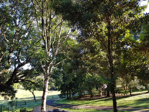 Bee-Haven Cottage - Accommodation Brisbane 7