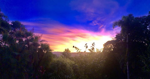 Daintree Manor B&B - Accommodation Brisbane 3