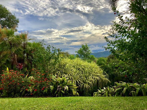 Daintree Manor B&B - Accommodation Brisbane 2