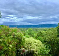 Daintree Manor BB - Accommodation Brisbane