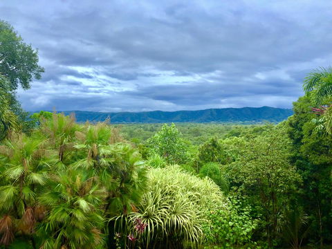 Daintree Manor B&B - Accommodation Brisbane 0