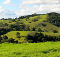 Maleny Springs Farm - Accommodation Brisbane