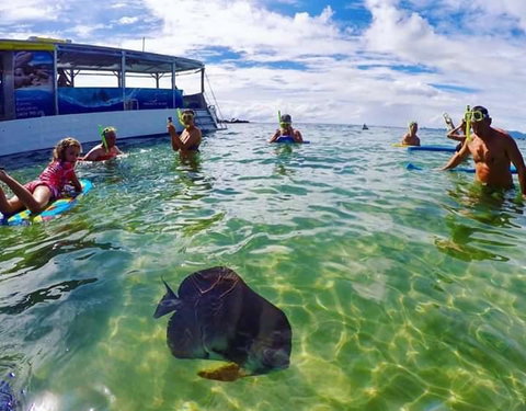 Magnetic Island Guest House - Accommodation Brisbane 20