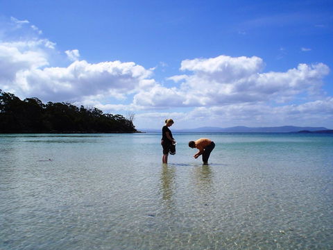 Bruny Island Escapes And Hotel Bruny - Accommodation Brisbane 36