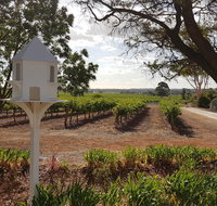 'In The Vines' Guest Cottage Barossa Valley - Accommodation Brisbane