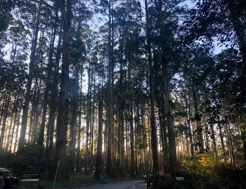 Cambridge Cottages - Accommodation Brisbane 2