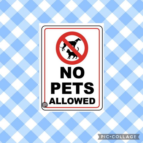 Camelot - Accommodation Brisbane 1