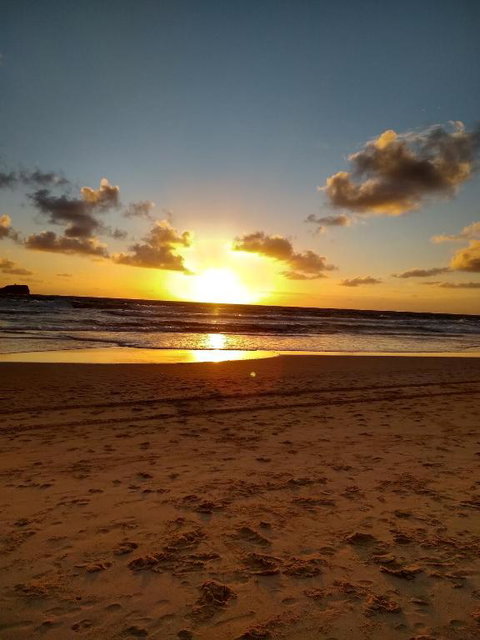 Camp NATURE - Accommodation Brisbane 2