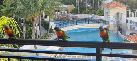 Darren Surfers Apartment - Accommodation Brisbane 0