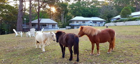 Aaronlee Retreat - Accommodation Brisbane 2