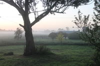 Book Heyfield Accommodation Vacations Accommodation Brisbane Accommodation Brisbane
