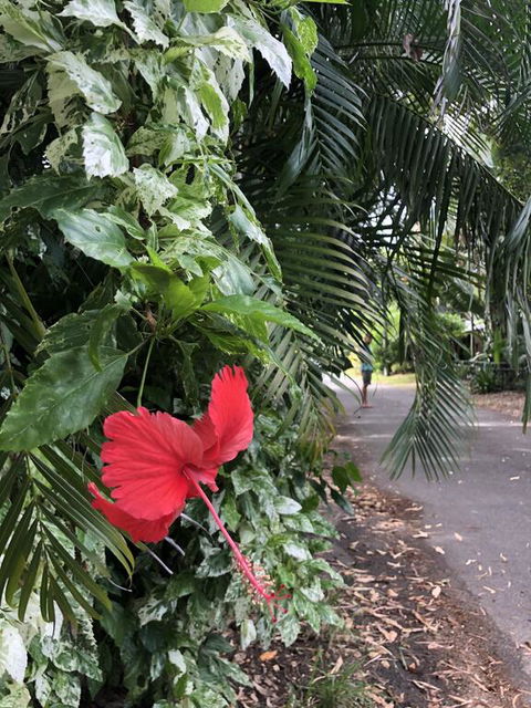 Absolute Beach Frontage, Family Friendly, Home Away From Home - Accommodation Brisbane 1