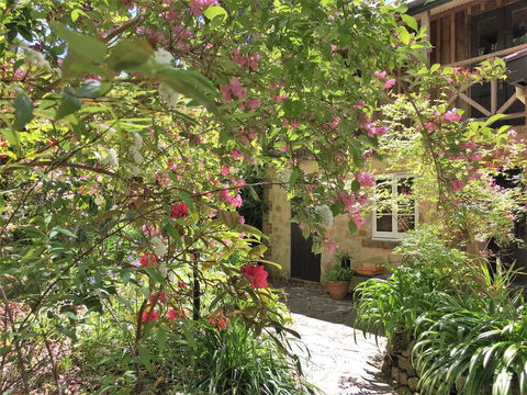 Adelaide Hills 'Camellia Cottage' - WiFi - Accommodation Brisbane 2