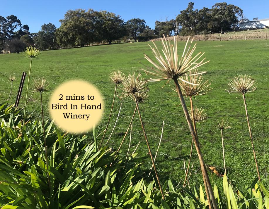 Harrogate SA Accommodation Brisbane