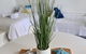 Dolphin Heads - Resort Unit - Absolute Beachfront! - Whitsunday Getaway! - thumb 0