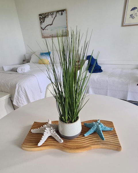 Dolphin Heads - Resort Unit - Absolute Beachfront! - Whitsunday Getaway! - Accommodation Brisbane 0