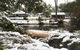 Diamondvale Estate Stanthorpe - thumb 1