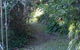 Dowling Cottage - Tranquil Haven In Blackheath - thumb 1