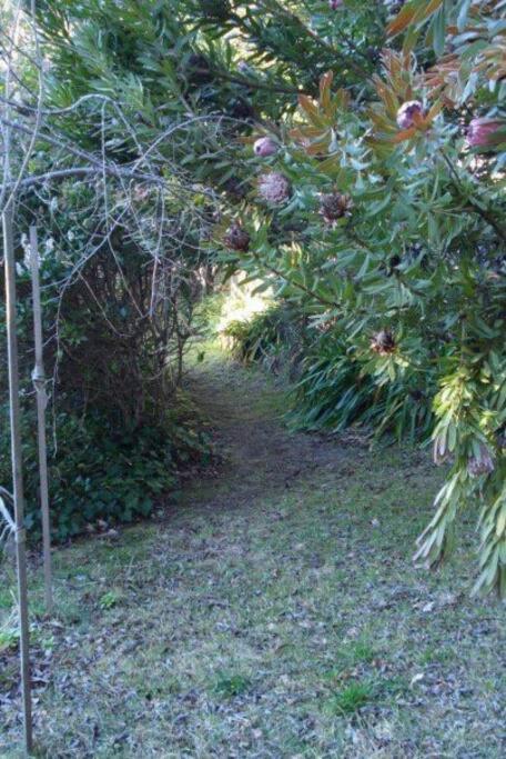 Dowling Cottage - Tranquil Haven In Blackheath - Accommodation Brisbane 1