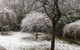 Dowling Cottage - Tranquil Haven In Blackheath - thumb 3