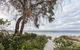 Driftwood Retreat - thumb 2