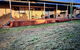 Duncannon - Durack Large Family Home Pets - thumb 0
