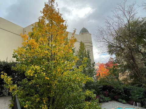 East Melbourne Studio - MCG, CBD, Shops, Transport - Accommodation Brisbane 4