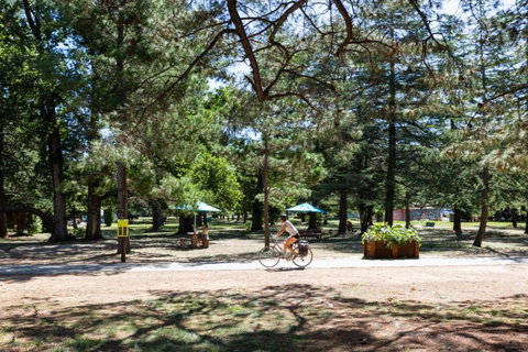 Elegant Studio With Parking - Accommodation Brisbane 4