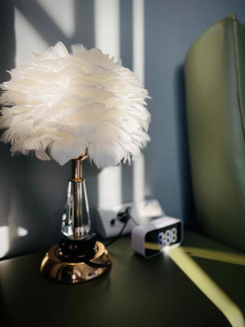Equitice Spring Moonlight Villa - Accommodation Brisbane 1