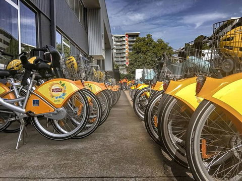 Experience More So Local - Accommodation Brisbane 2