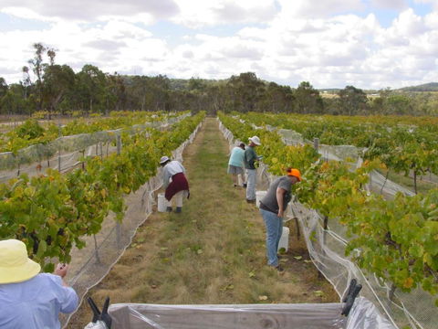 Fergies Hill Spa Cottage @ Granite Ridge Wines - Accommodation Brisbane 2