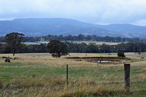 Friends In Harcourt North - Accommodation Brisbane 2