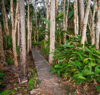Agnes Palms Accommodation - Accommodation Brisbane