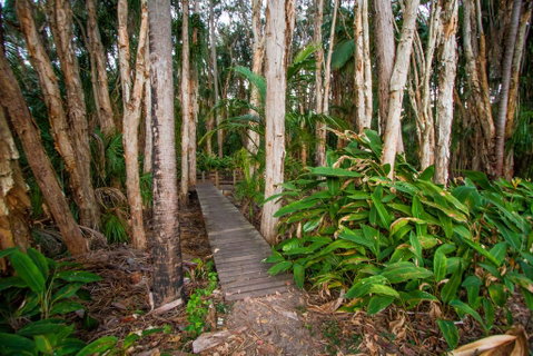 Agnes Palms Accommodation - Accommodation Brisbane 0