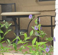 Amalie Cottage Waikerie - Accommodation Brisbane