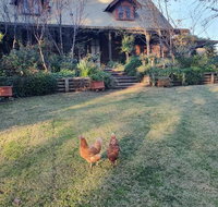 Angaston by the Winter Creek - Accommodation Brisbane