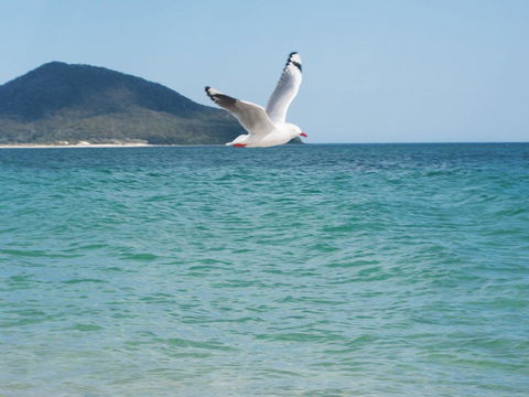 Architectural Design On The Beach - Accommodation Brisbane 1