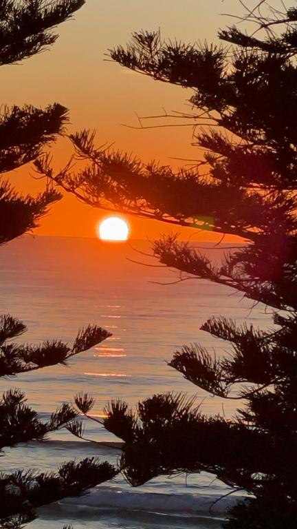 Manly Beachfront Stay - Accommodation Brisbane 2