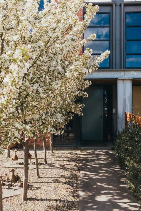 Mews Cottages - Accommodation Brisbane 2