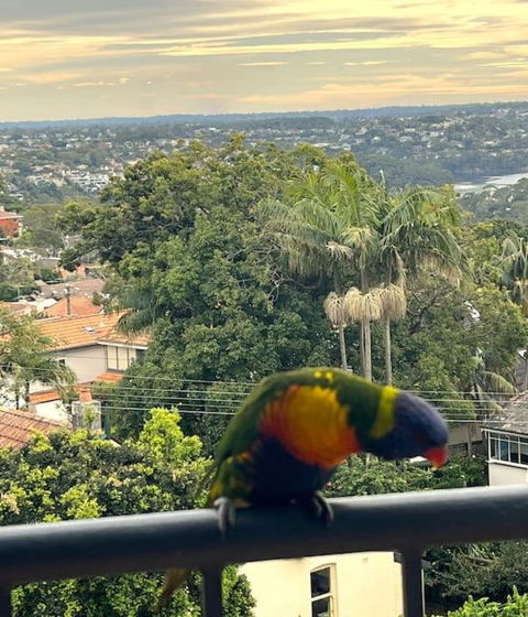 Mosman Views, 2bed, Parking, 15min Walk To Beach - Accommodation Brisbane 1