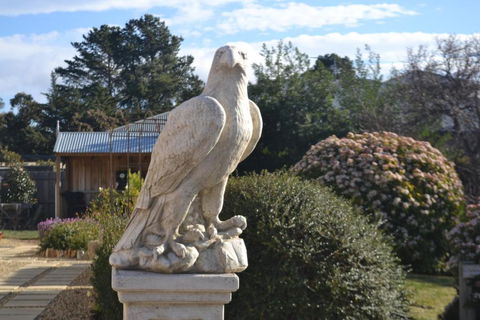 Mulberry Cottage Unique B&B Accommodation - Accommodation Brisbane 2