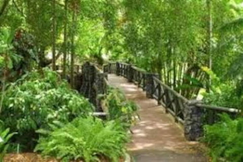 Paddington Pad With Back Deck And Free Car Space Close To Suncorp - Accommodation Brisbane 2